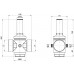 Редуктор давления ICMA 2" ВВ 246 (91246AJ05) 