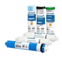 Комплект картриджей Ecosoft Absolute CHV6ECOABS 12 месяцев