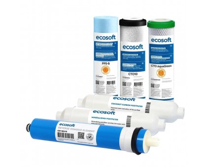 Комплект картриджей Ecosoft Absolute CHV6ECOABS 12 месяцев