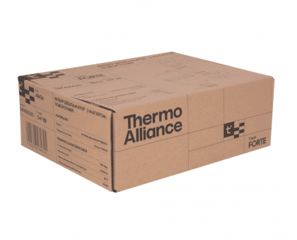 Фильтр-дешламатор Thermo Alliance Forte TAF400G20 3/4" В/В с магнитом
