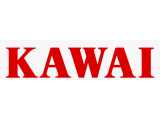 ТЭНы KAWAI