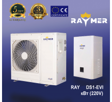 Тепловой насос воздух-вода Raymer RAY-10DS1-EVI 10кВт (220В)