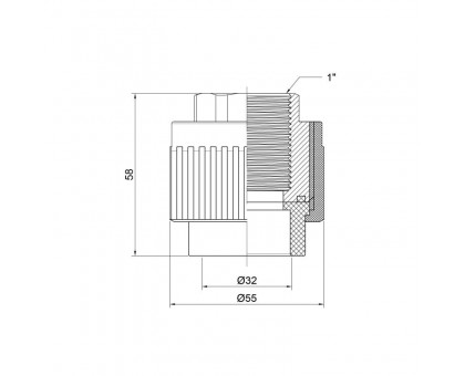 Муфта с внутренней резьбой Thermo Alliance DSB207 32x1"