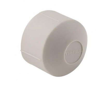 Заглушка Thermo Alliance DSD001 20