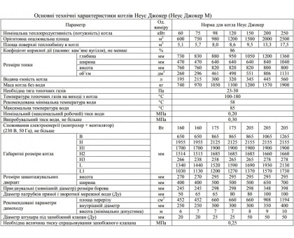 Котел твердотопливный Neus Joker 24 кВт