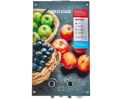 Колонка газова димохідна MIXXUS GWH-0410 BASIC GLASS 10 л/хв (WH0025) панель зі скла з квітами