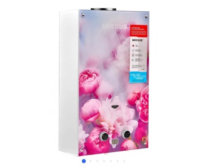 Колонка газова димохідна MIXXUS GWH-0410 BASIC GLASS 10 л/хв (WH0025) панель зі скла з квітами