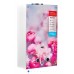 Колонка газова димохідна MIXXUS GWH-0410 BASIC GLASS 10 л/хв (WH0025) панель зі скла з квітами