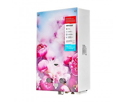 Колонка газова димохідна MIXXUS GWH-0410 BASIC GLASS 10 л/хв (WH0025) панель зі скла з квітами