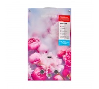 Колонка газовая дымоходная MIXXUS GWH-0410 BASIC GLASS 10 л/мин (WH0025) стекло с цветами