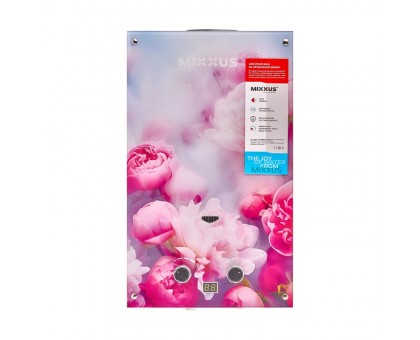 Колонка газова димохідна MIXXUS GWH-0410 BASIC GLASS 10 л/хв (WH0025) панель зі скла з квітами