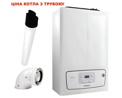 Конденсационный газовый котел IMMERGAS VICTRIX TERA V2 24 PLUS EU