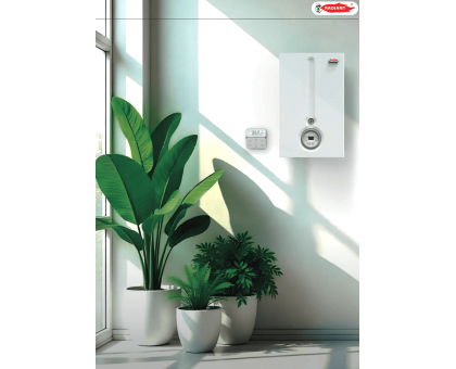 Газовый конденсационный ﻿котел RADIANT R1CR 24 кВт