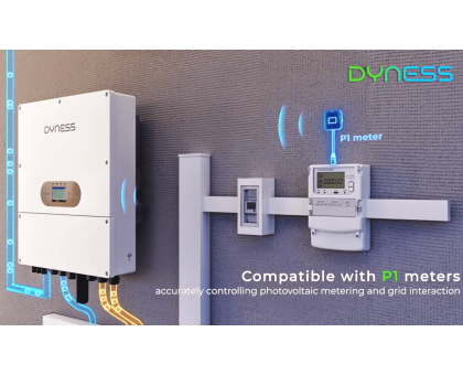Гибридный инвертор Dyness Series LS D6.0K-LS 6 кВт 220 В