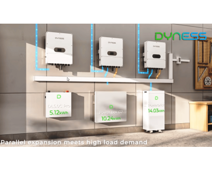 Гибридный инвертор Dyness Series LS D6.0K-LS 6 кВт 220 В